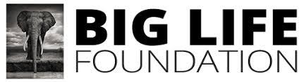 Big Life Foundation