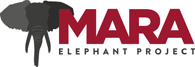 mara elephant project